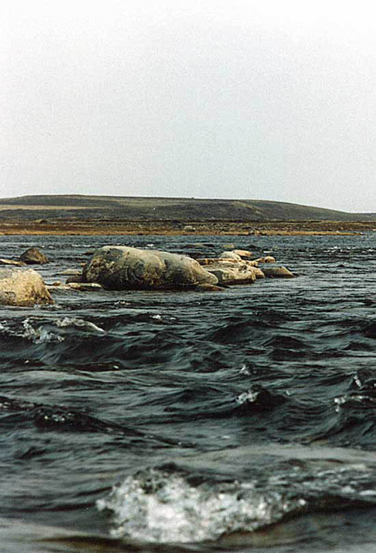 arctic creek