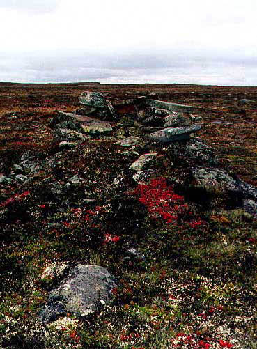 arctic land 2